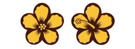 fleurs en chocolat
