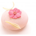 MAGNOLIA ROSE