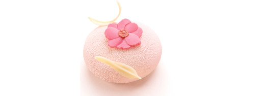 fleurs en chocolat
