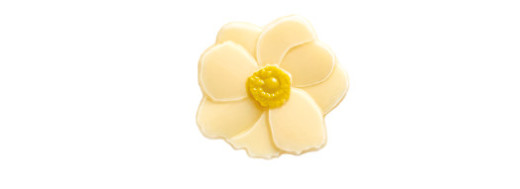 sujets en chocolat fleur blanche/ Manudecors