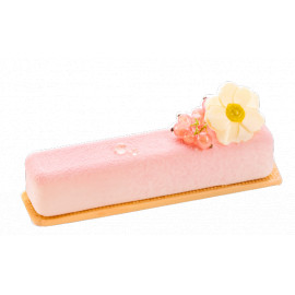 MAGNOLIA BLANCHE