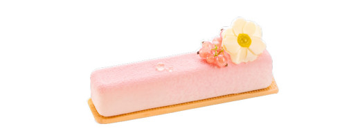 sujets en chocolat fleur blanche/ Manudecors