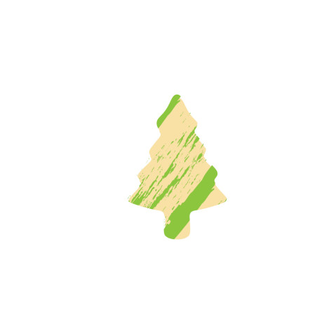 Sapin vert