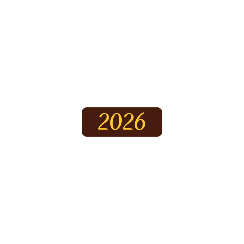 2025 2025