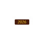 2025 2025