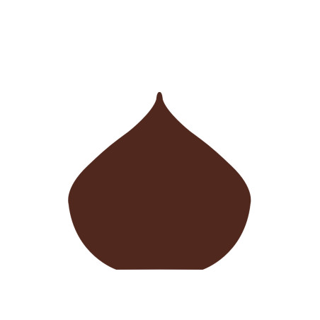 plaquette décor embout de buche, Décoration de pâtisserie en chocolat pour les professionnels des métiers de bouche. Manudecors