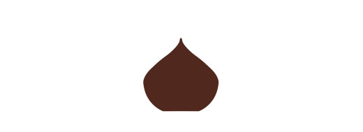 plaquette décor embout de buche, Décoration de pâtisserie en chocolat pour les professionnels des métiers de bouche. Manudecors