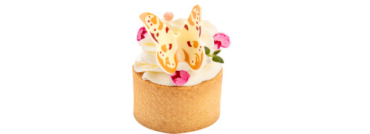 Plaquettes en chocolat décoratives "papillons" pour pâtisserie / Manudecors