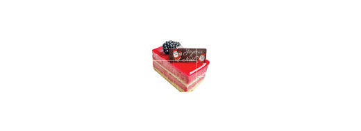 pastille décors chocolat noel