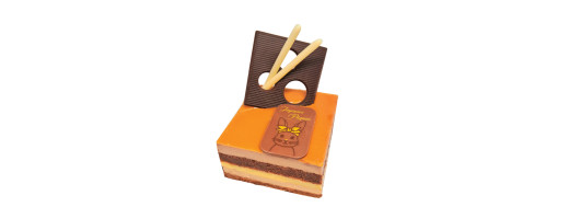 decors alimentaire en chocolat