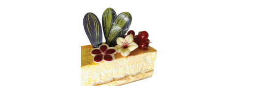 feuilles en chocolat