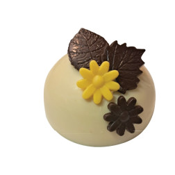 Feuillage assorti choco noir