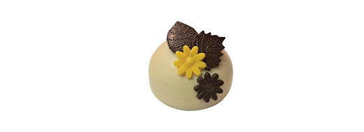 plaquette decors chocolat serigraphie