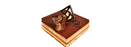 Décors en chocolat pour les professionnels patissiers et restaurateurs