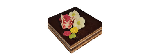 décoration pâtissière en chocolat fleurs assorties/ Manudecors