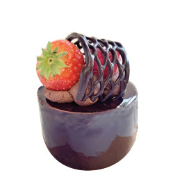 "Fin grillage courbé"