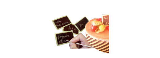 décors  en chocolat pour entremet
