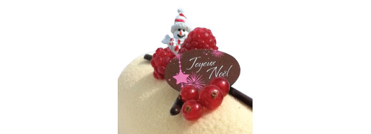 pastille décors chocolat noel