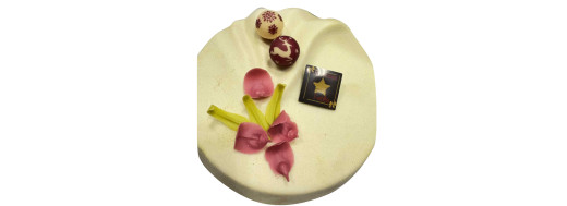 pastille chocolat décor pétales de fleurs/ Manudecors