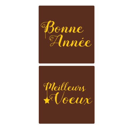 Plaquette chocolat décoration entremets pour la nouvelle année Manudecors
