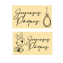 plaquette decors chocolat serigraphie