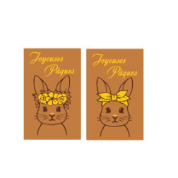 plaquette decors chocolat