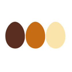 Plaquettes en chocolat décorées pour artisans pâtissiers Manudecors