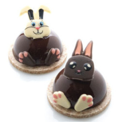 Set têtes de lapin