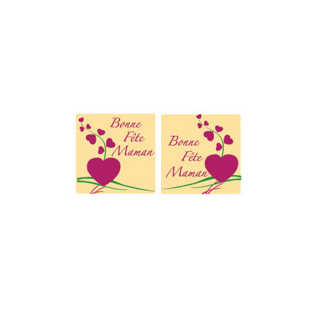 plaquette decors chocolat