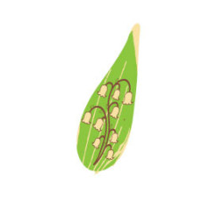 plaquette decors chocolat serigraphie