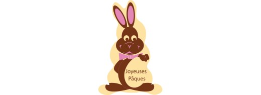 Plaquettes en chocolat décoratives pour pâtisserie Manudecors