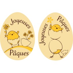 Plaquettes en chocolat décoratives pour pâtisserie Manudecors