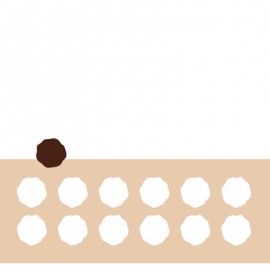 chablon pour chocolat