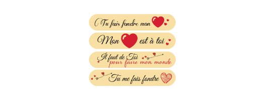 Décors chocolat dessus d'éclair saint valentin/Manudecors