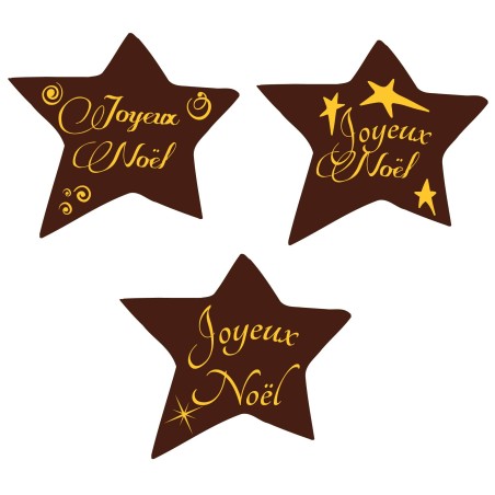 Etoile de Noël