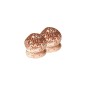 Champignon petit brun