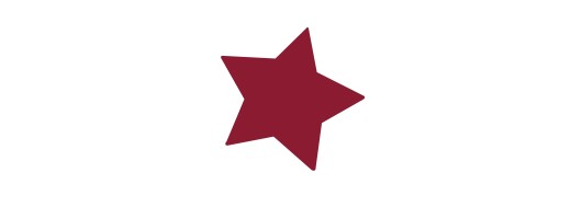 Décors chocolat, Plaquettes décors chocolat pour bûches, entremets et desserts de noël - Manudecors