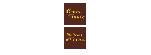 Plaquette chocolat décoration entremets pour la nouvelle année Manudecors