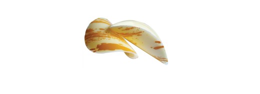 Tuiles au chocolat décorée / Manudecors