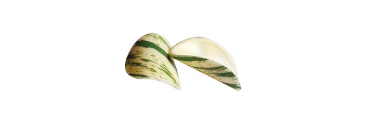 sujet décor "chips en chocolat" / Manudecors