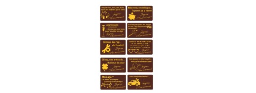 Plaquettes chocolat humour  Anniversaire pour gâteaux et entremets /Manudecors