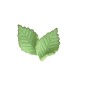 Feuilles vertes en pâte d'amande