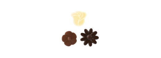 Fleurs en chocolat , assortiment 3 chocolats/ Manudecors