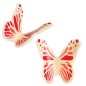 Papillon ailes courbes fuchsia
