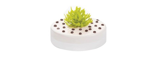 pastilles chocolat décors feuilles vertes/ Manudecors