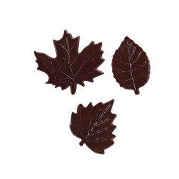 Feuillage assorti choco noir