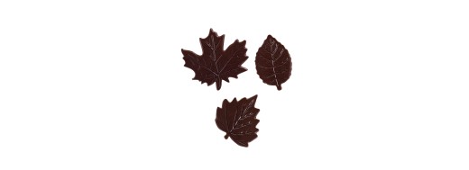 Feuilles en chocolat noir, décoration pâtissière /Manudecors
