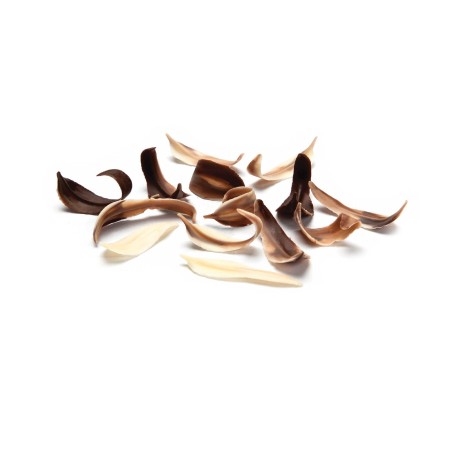Décoration pâtissière feuilles en chocolat /Manudecors