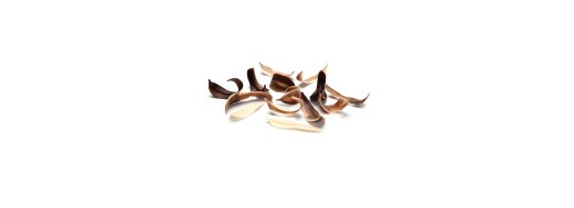 Décoration pâtissière feuilles en chocolat /Manudecors