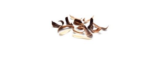 Décoration pâtissière feuilles en chocolat /Manudecors